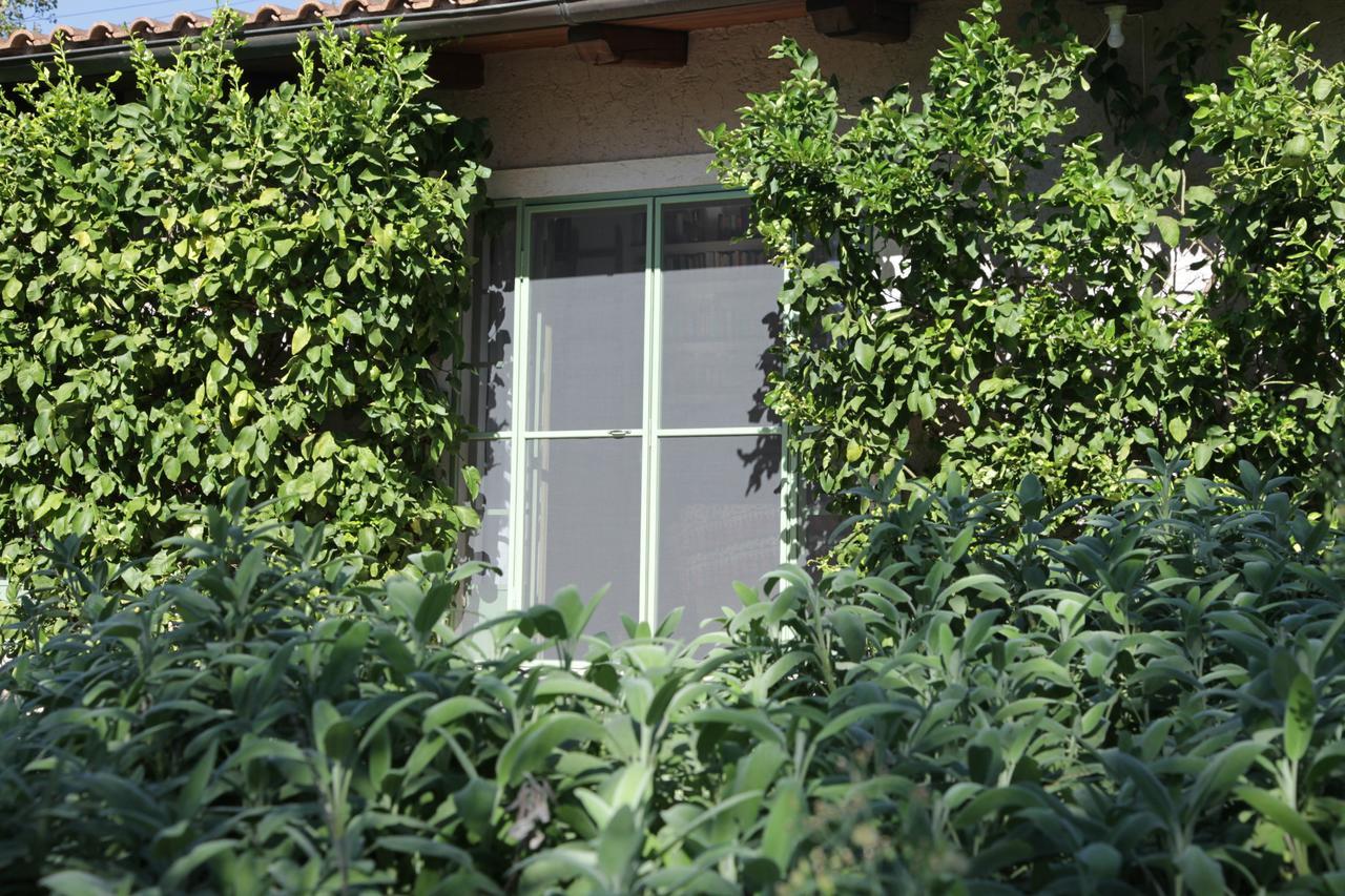 Madonnella Agricola Vila Cesano Exterior foto