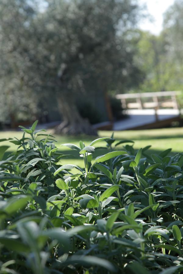 Madonnella Agricola Vila Cesano Exterior foto