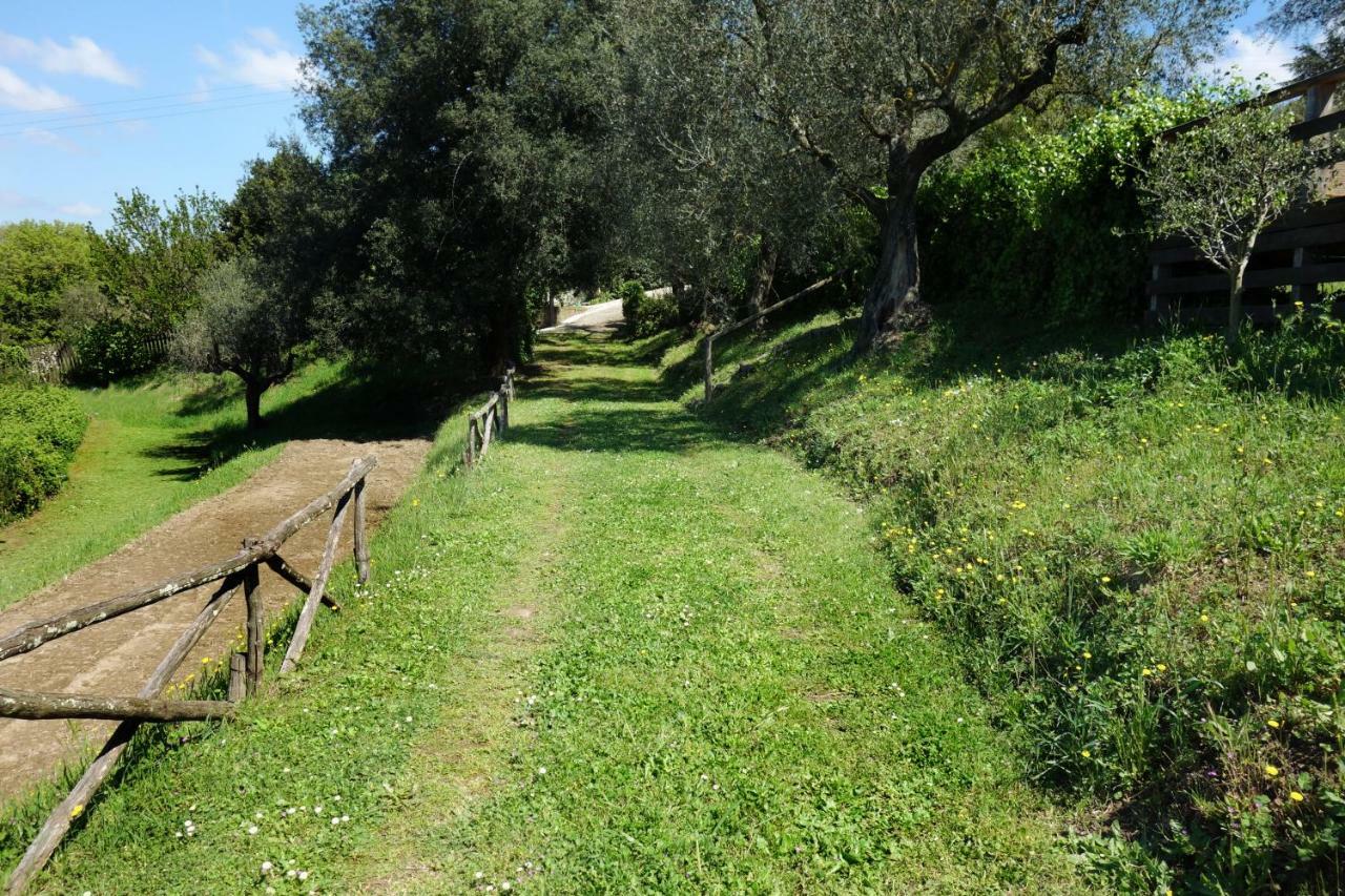 Madonnella Agricola Vila Cesano Exterior foto