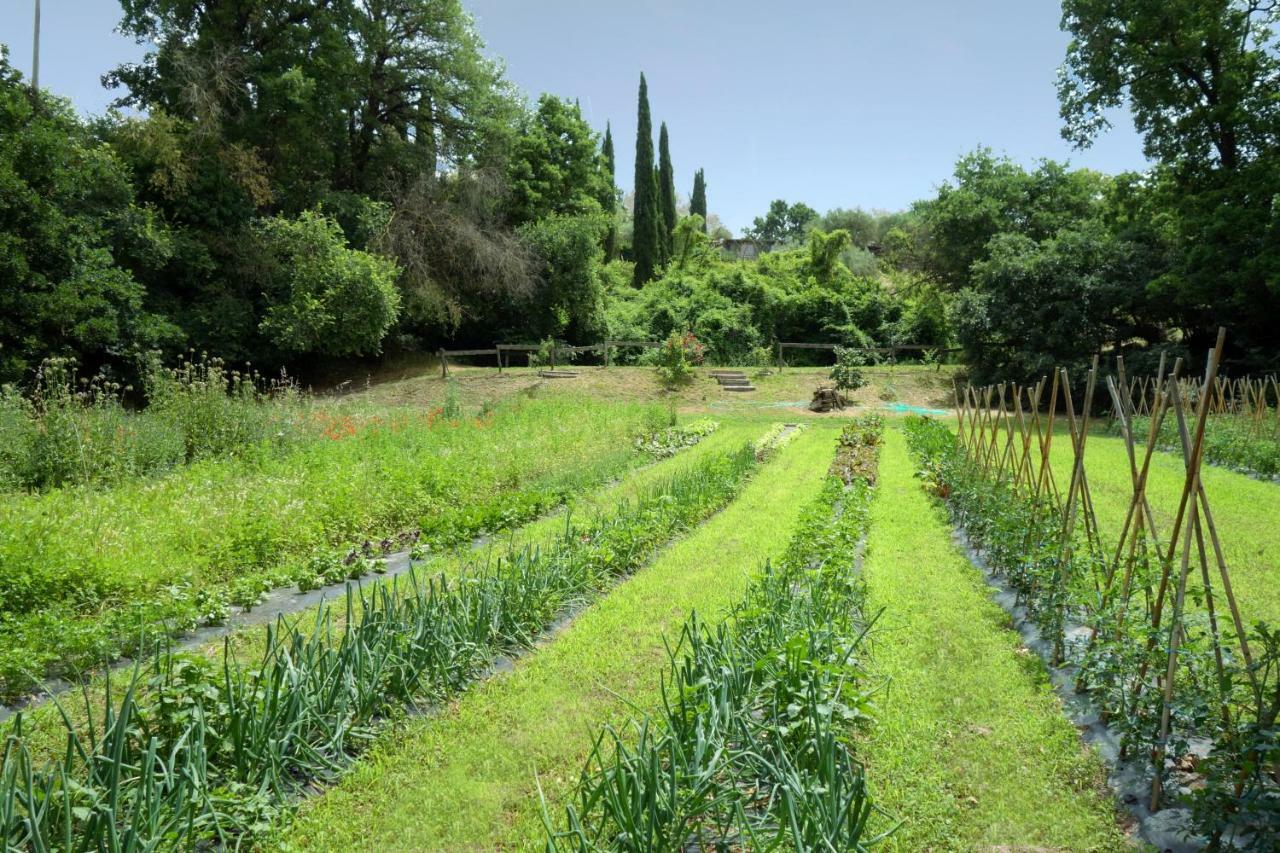 Madonnella Agricola Vila Cesano Exterior foto